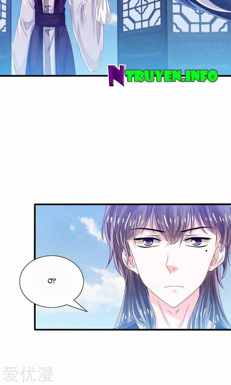 Tôi Bị Gấu Trúc Nhìn Trúng Rồi: Chapter 24