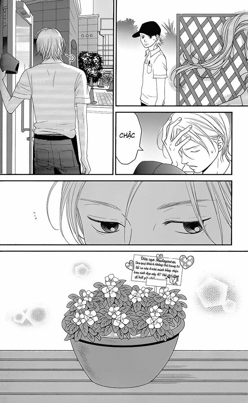 Đóa Hoa Năm Ấy: Chapter 1