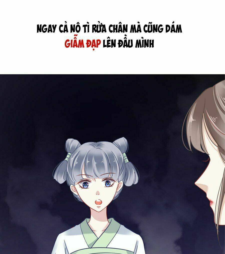 Phú Bà Bạc Tỷ Trong Lãnh Cung: Chapter 0