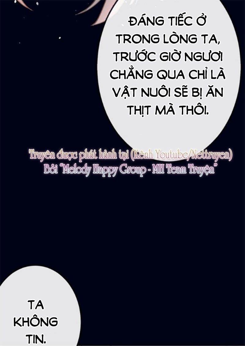 Mỹ Vị Hữu Không Phải Lỗi Của Tôi: Chapter 0