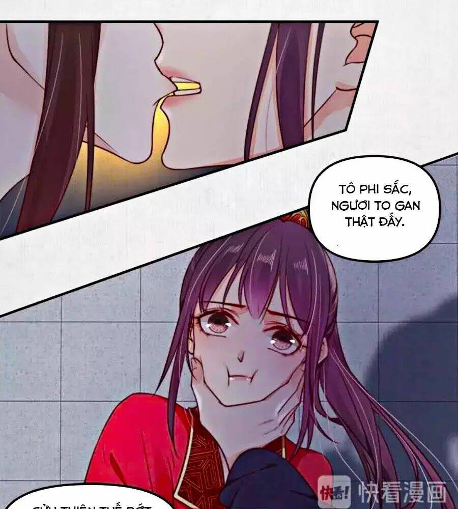 Hoạn Phi Hoàn Triều: Chapter 19