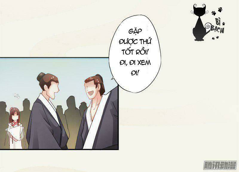 Tuyệt Thế Luyện Đan Sư: Chapter 5