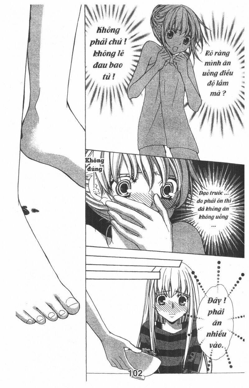 Trái Tim Kim Cương: Chapter 1