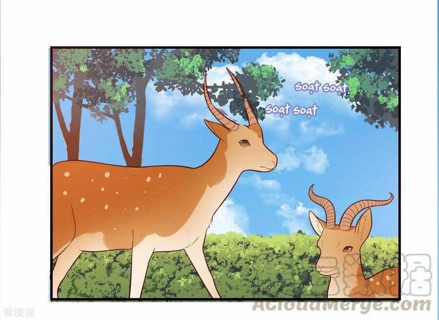 Hẹn Hò Siêu Tốc: Chapter 46