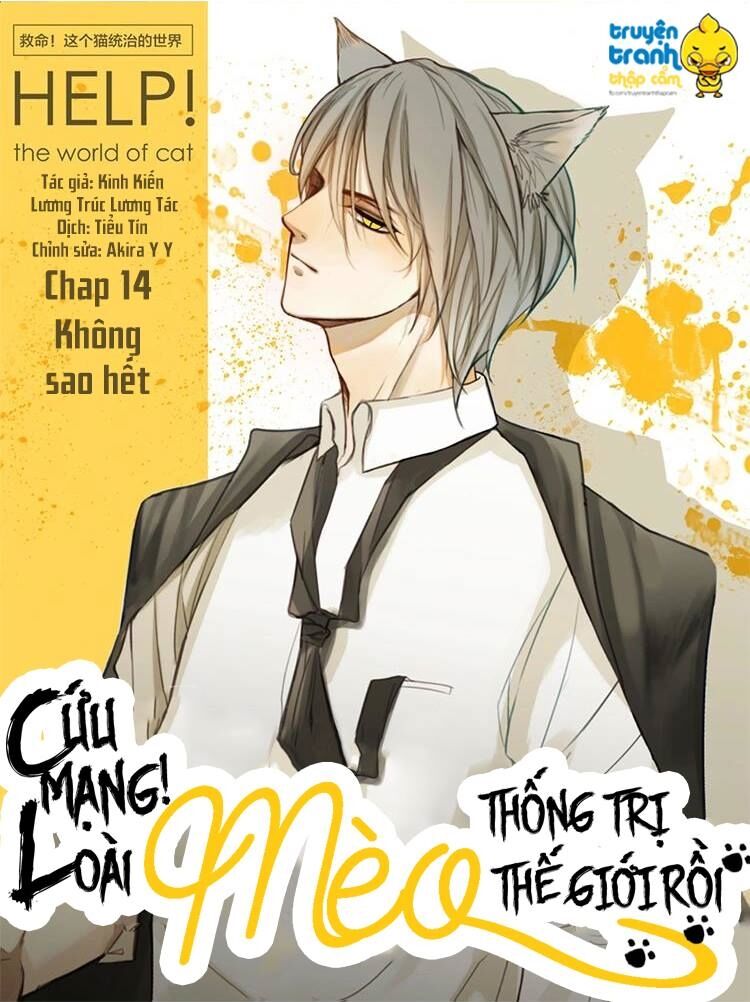 Cứu mạng ! Loài mèo thống trị thế giới rồi !: Chapter 14