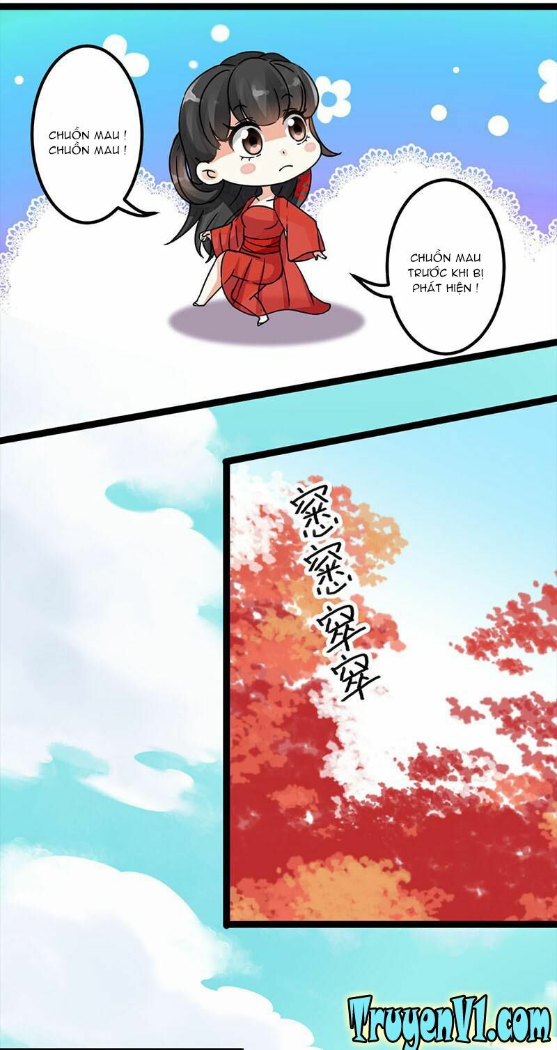 Vương Gia ! Ngươi Thật Bỉ Ổi !: Chapter 2