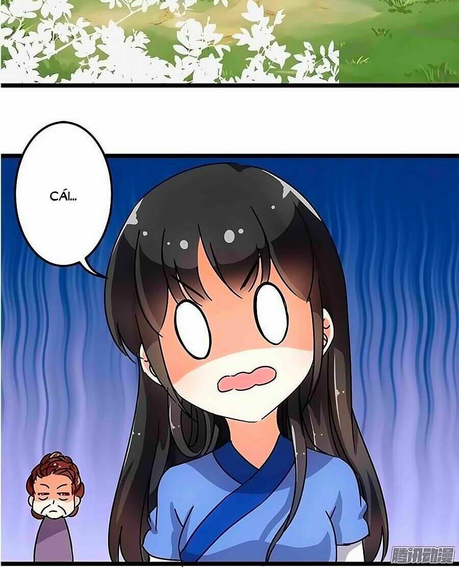 Vương Gia! Ngươi Thật Bỉ Ổi: Chapter 70