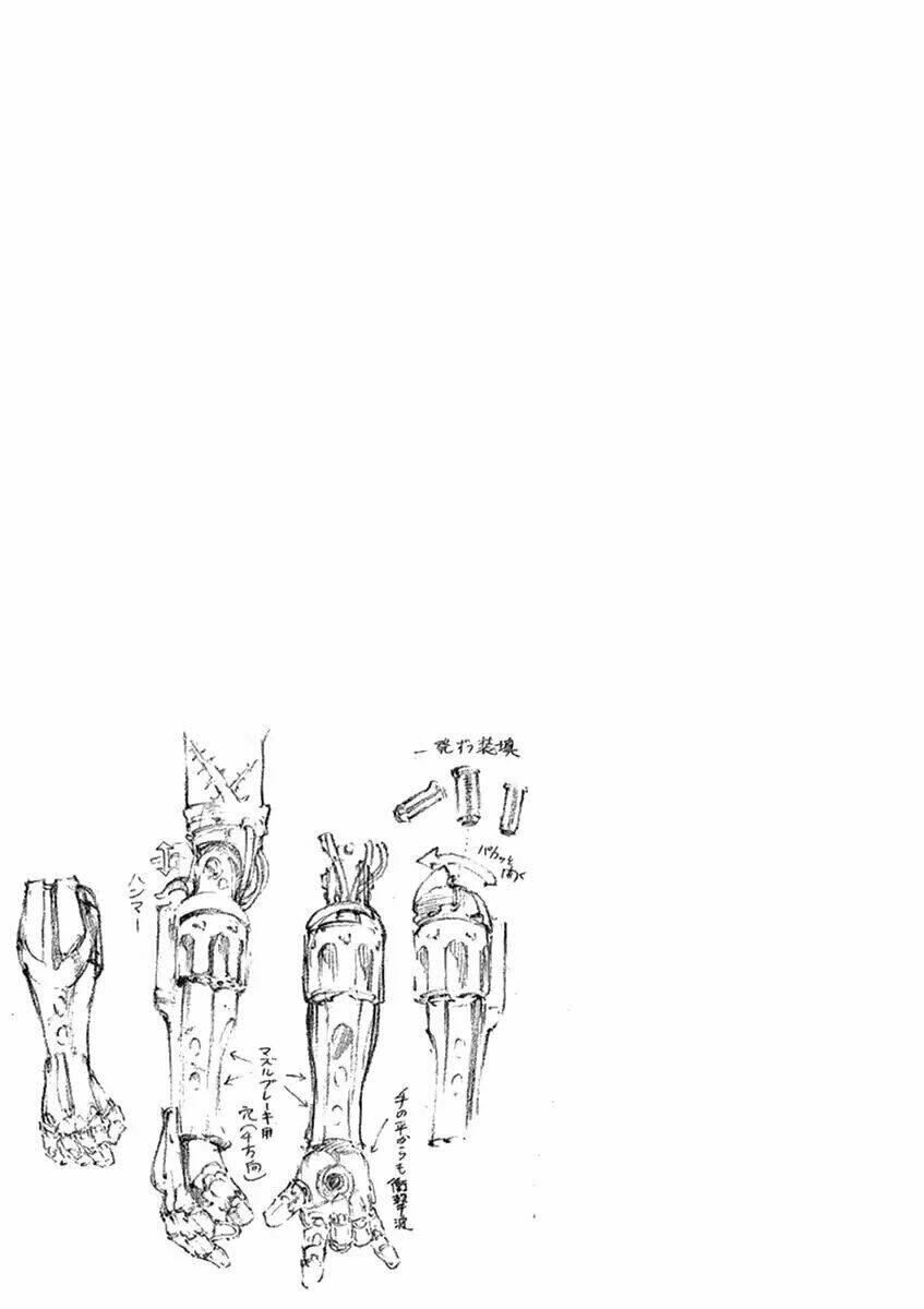 Renjou Desperado: Chapter 5.5