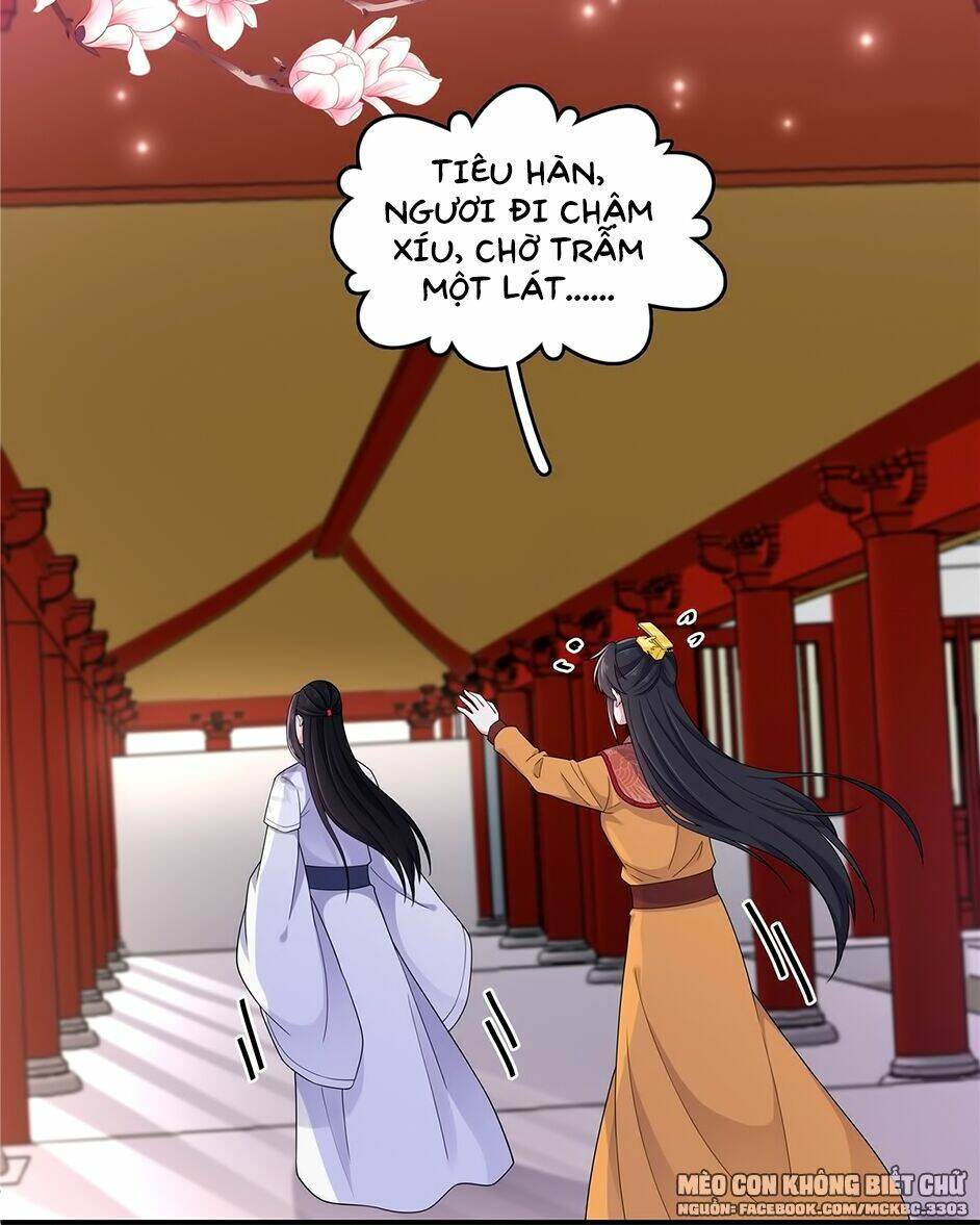 Báo Cáo! Đế Quân Ngài Có Độc!: Chapter 54