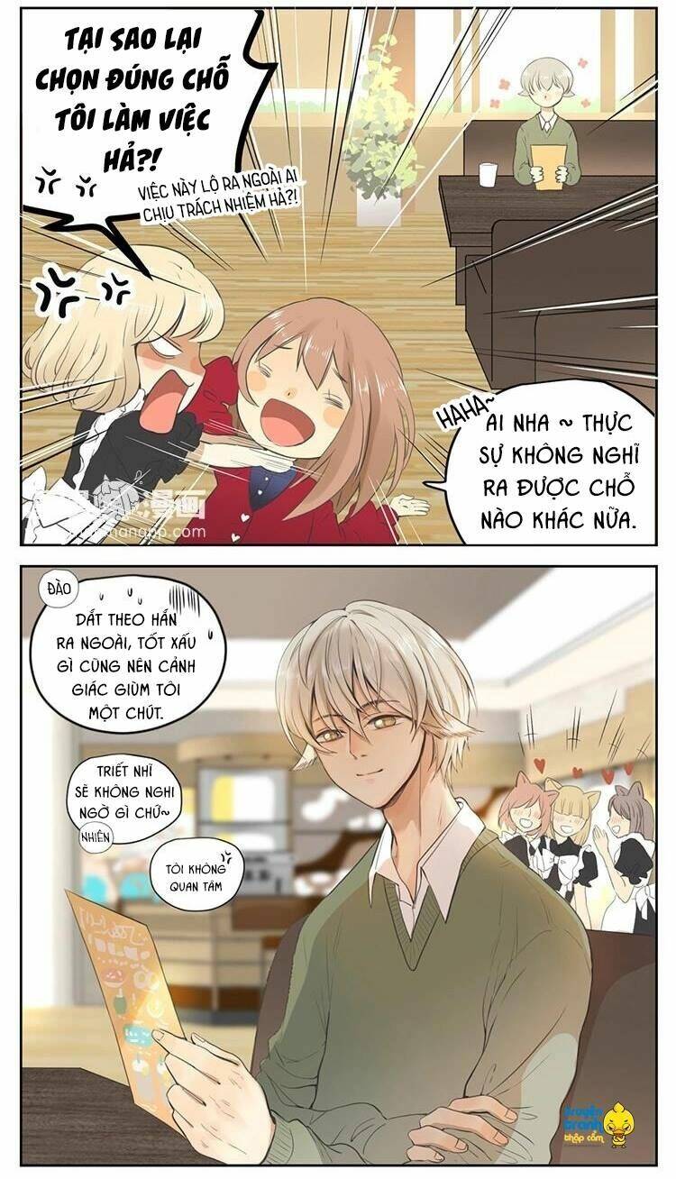Cứu Mạng! Loài Mèo Thống Trị Thế Giới Rồi!: Chapter 27