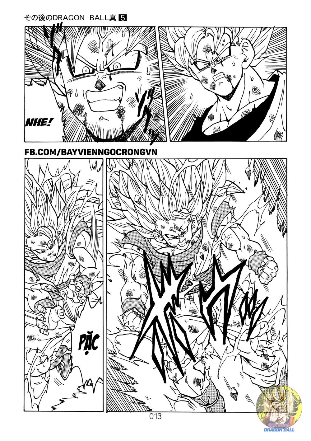 Dragon Ball After: Chapter 13