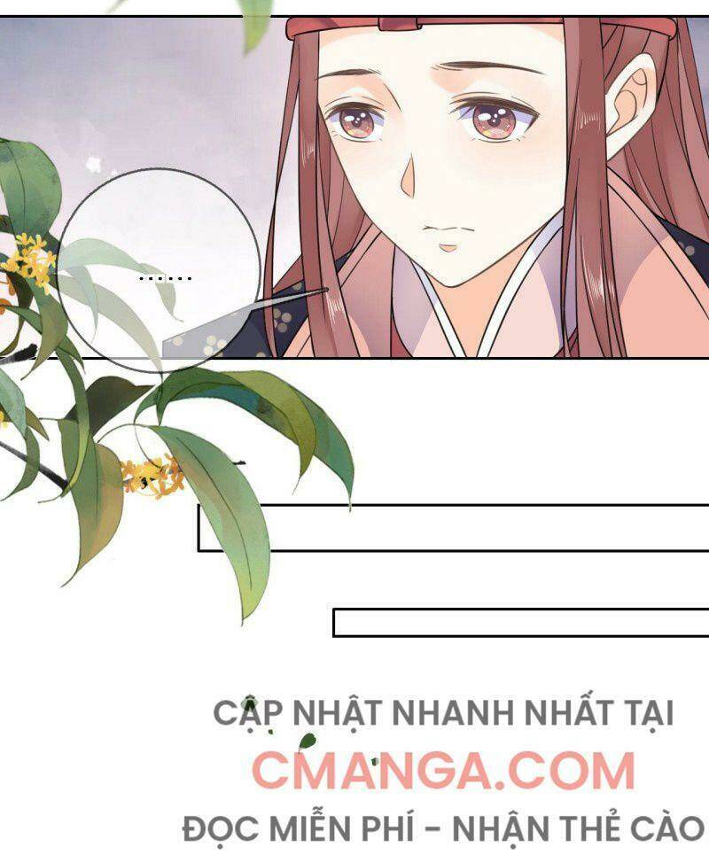 Tang Lạc Túy Tại Nam Phong Lý: Chapter 97