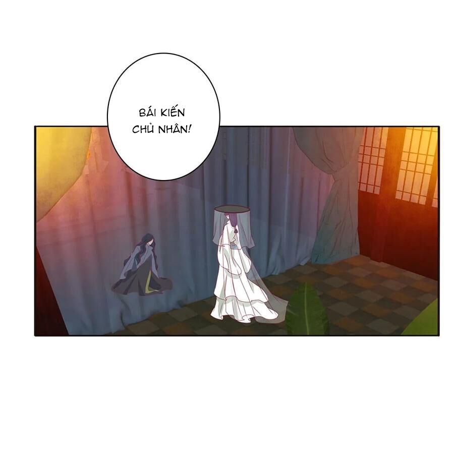 Thông Linh Phi: Chapter 598
