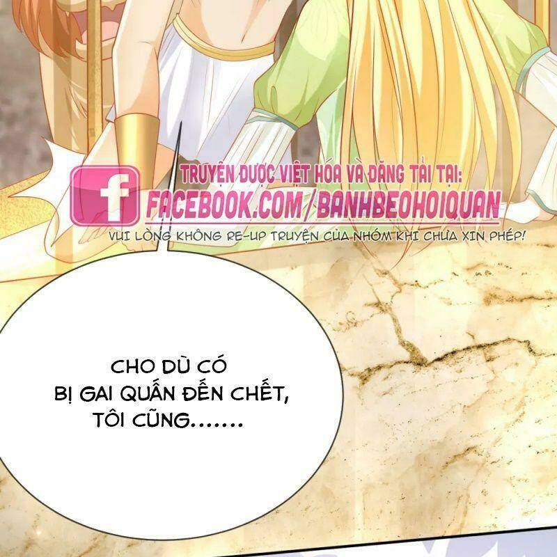 Sủng Hậu Của Vương: Chapter 56