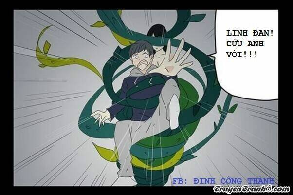 Hạt Giống Tình Yêu: Chapter 4