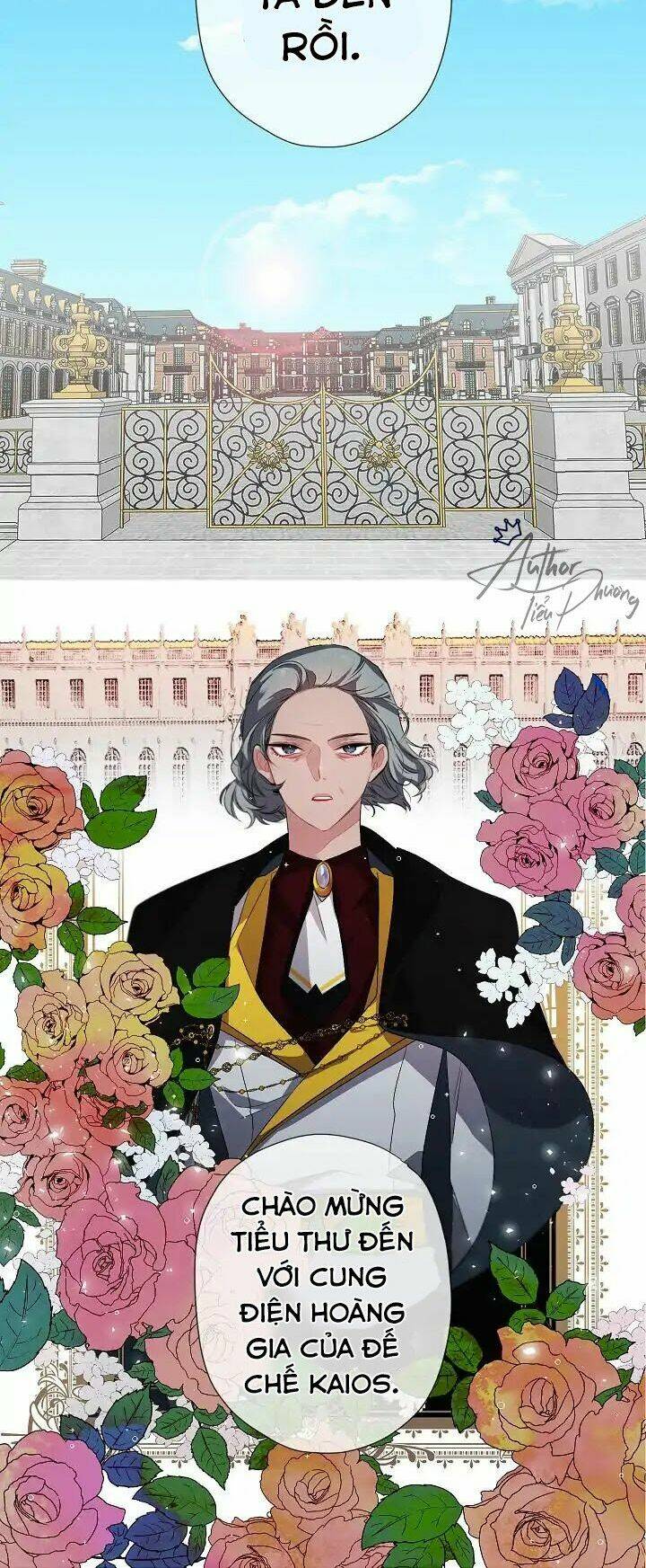 Tình Điên Dại: Chapter 6