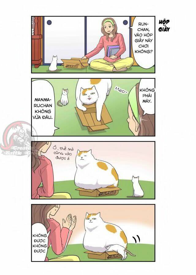 Cat is silver vine: Chapter 4