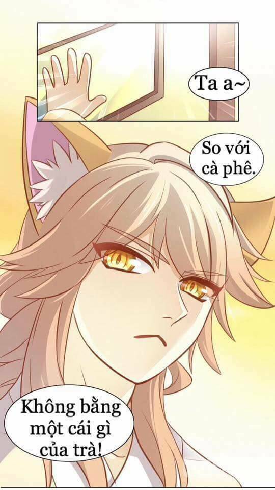 Dưới Móng Vuốt Mèo: Chapter 8