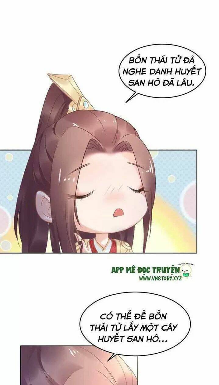 Nhất Sinh Nhất Thế Tiếu Thương Khung: Chapter 16