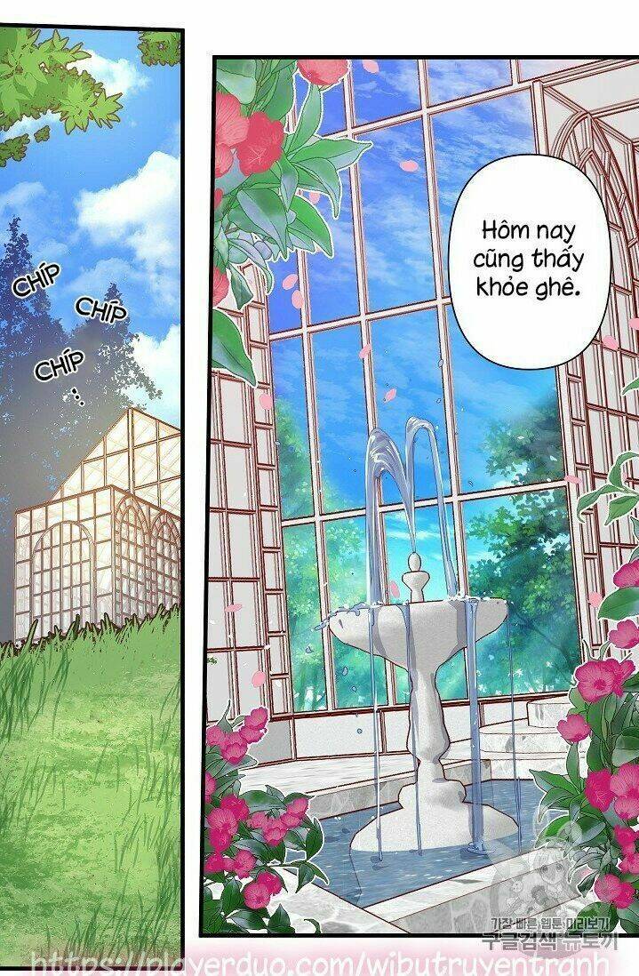 Hôn Lễ Báo Thù: Chapter 21