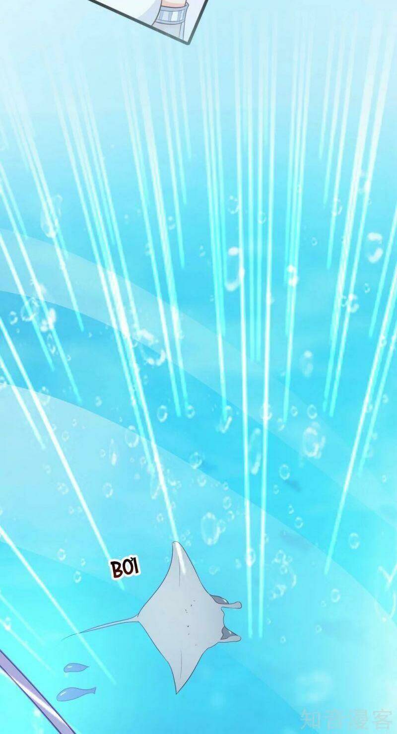 Tối Cường Vận Đào Hoa: Chapter 99