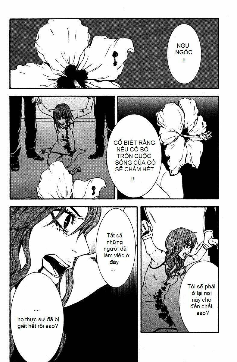 Mayonaka No Ariadone: Chapter 7