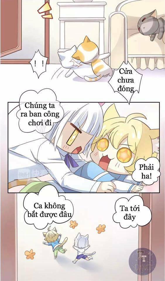 Dưới Móng Vuốt Mèo: Chapter 19