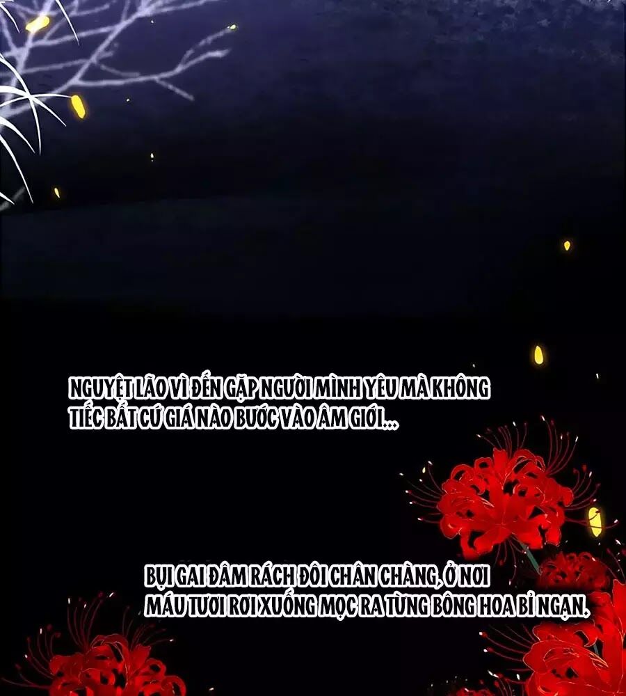 Hoa Chưa Nở Rộ: Chapter 20