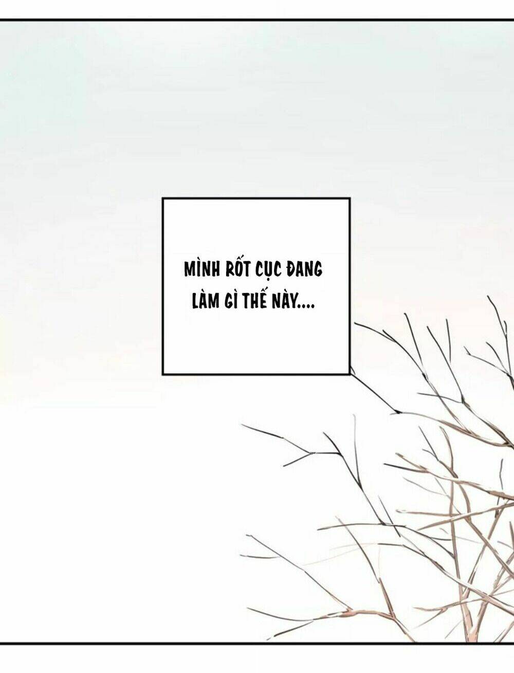 Đầu Gấu Biết Yêu: Chapter 36