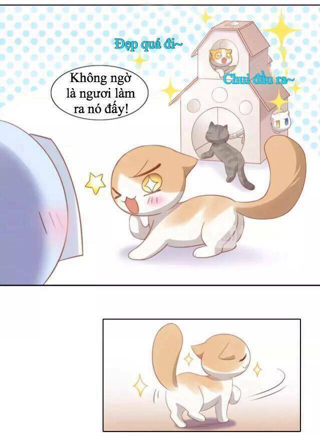 Dưới Móng Vuốt Mèo: Chapter 13