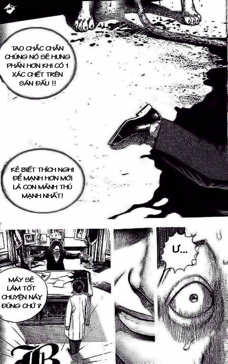 Tough - Miyazawa Kiichi: Chapter 238