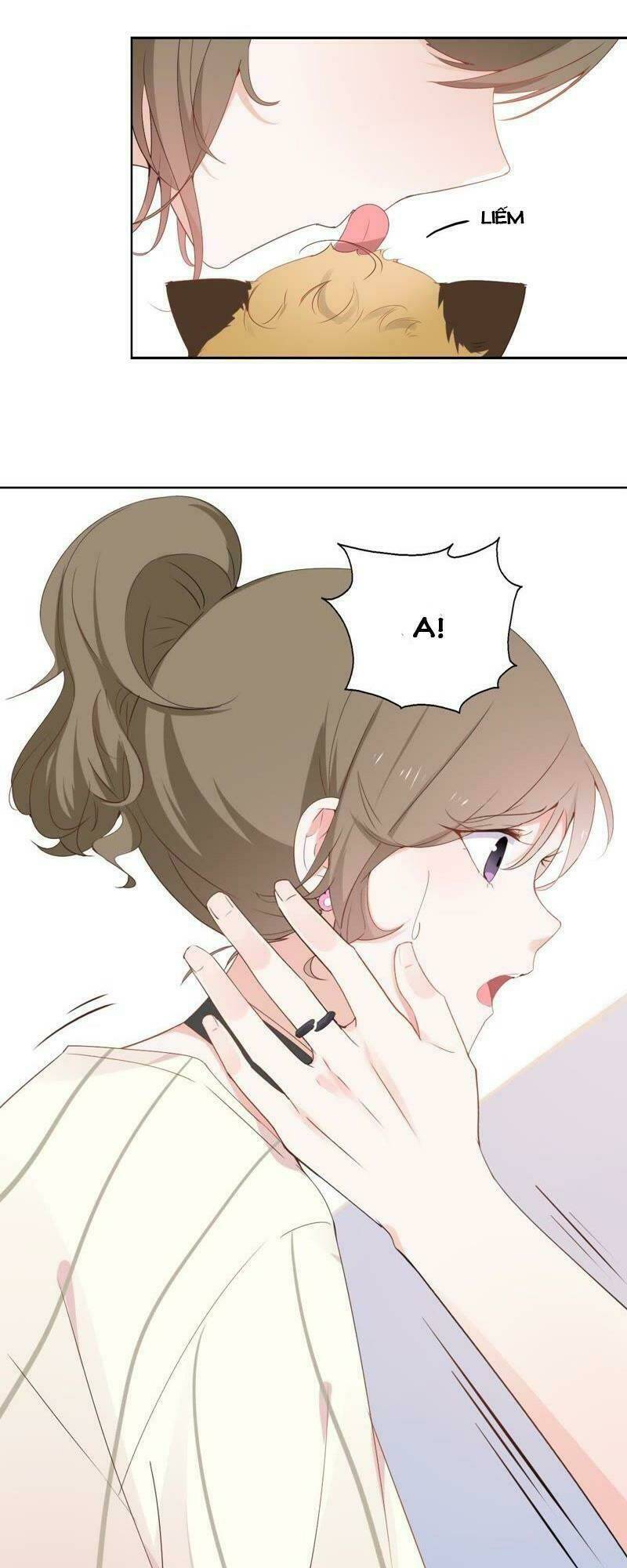 Thập Nhị Hắc Miêu: Chapter 1