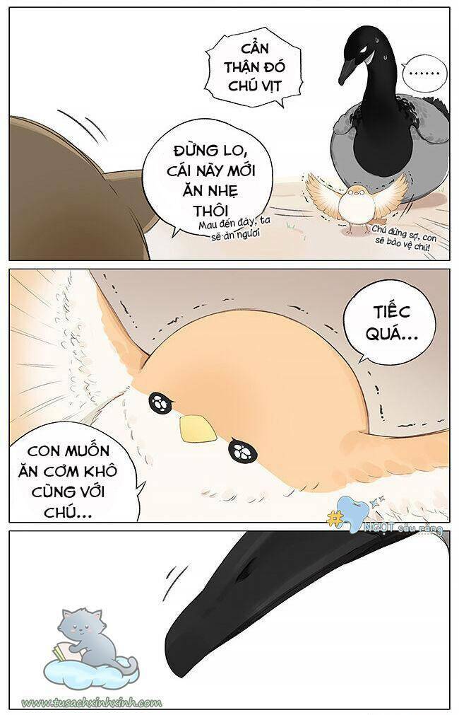 Chim Sẻ Gọi Ngỗng Trời: Chapter 4