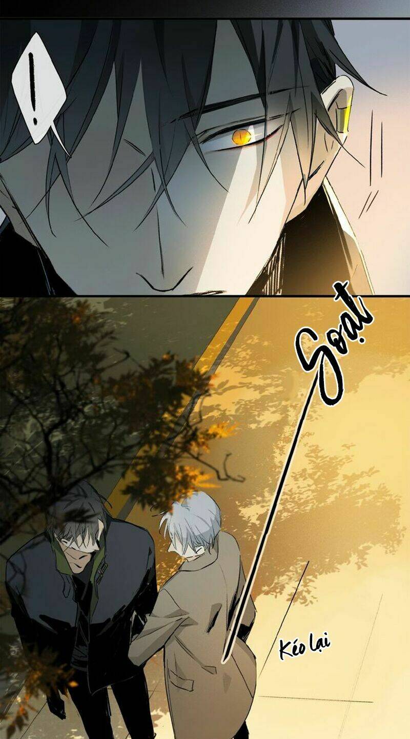 Phép Tắc Trường Ogus: Chapter 36