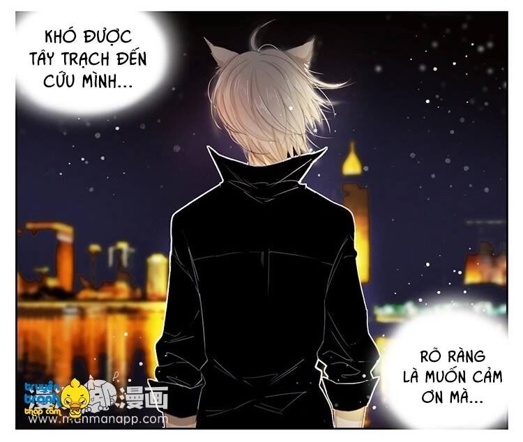 Cứu mạng ! Loài mèo thống trị thế giới rồi !: Chapter 21
