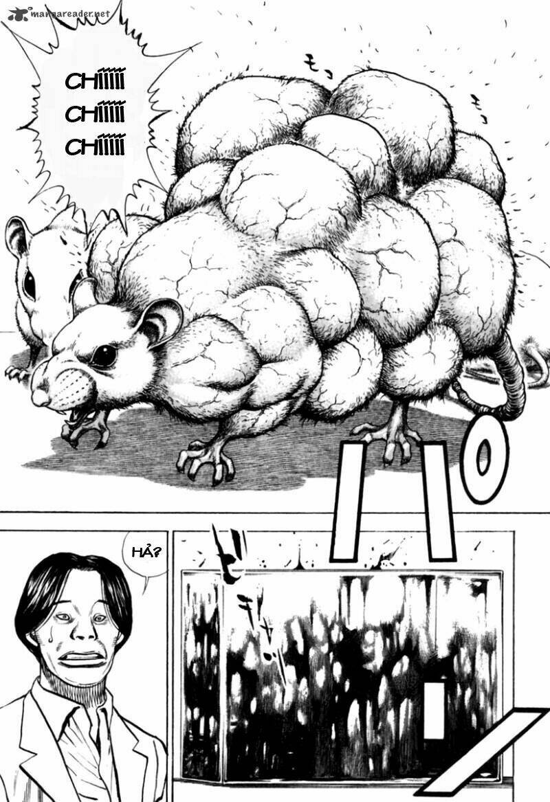 Tough - Miyazawa Kiichi: Chapter 155