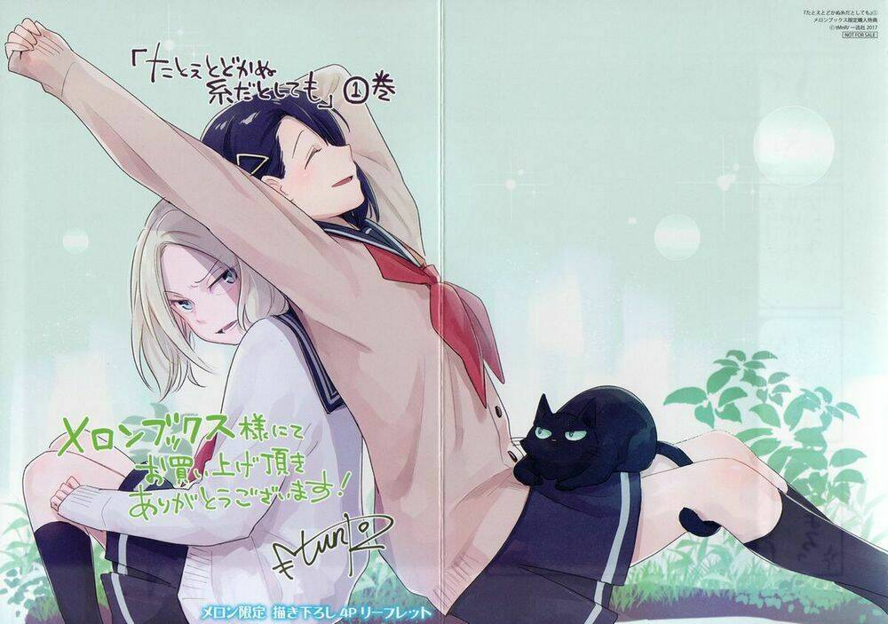 This Love That Won Reach: Chapter 39