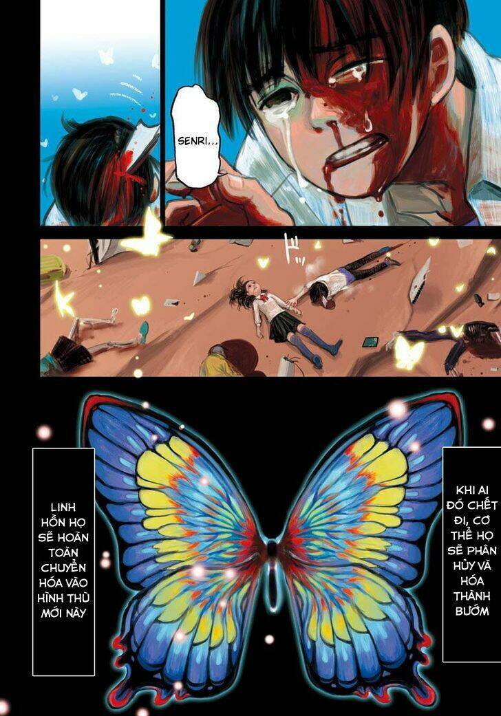 Butterfly Storage: Chapter 1