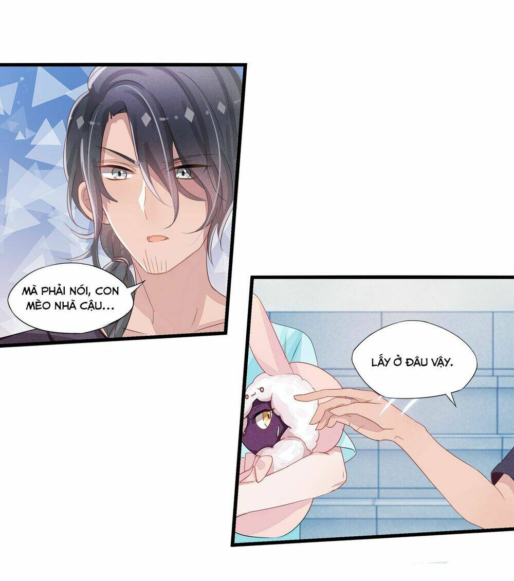 Làm Mèo Của Ta: Chapter 4