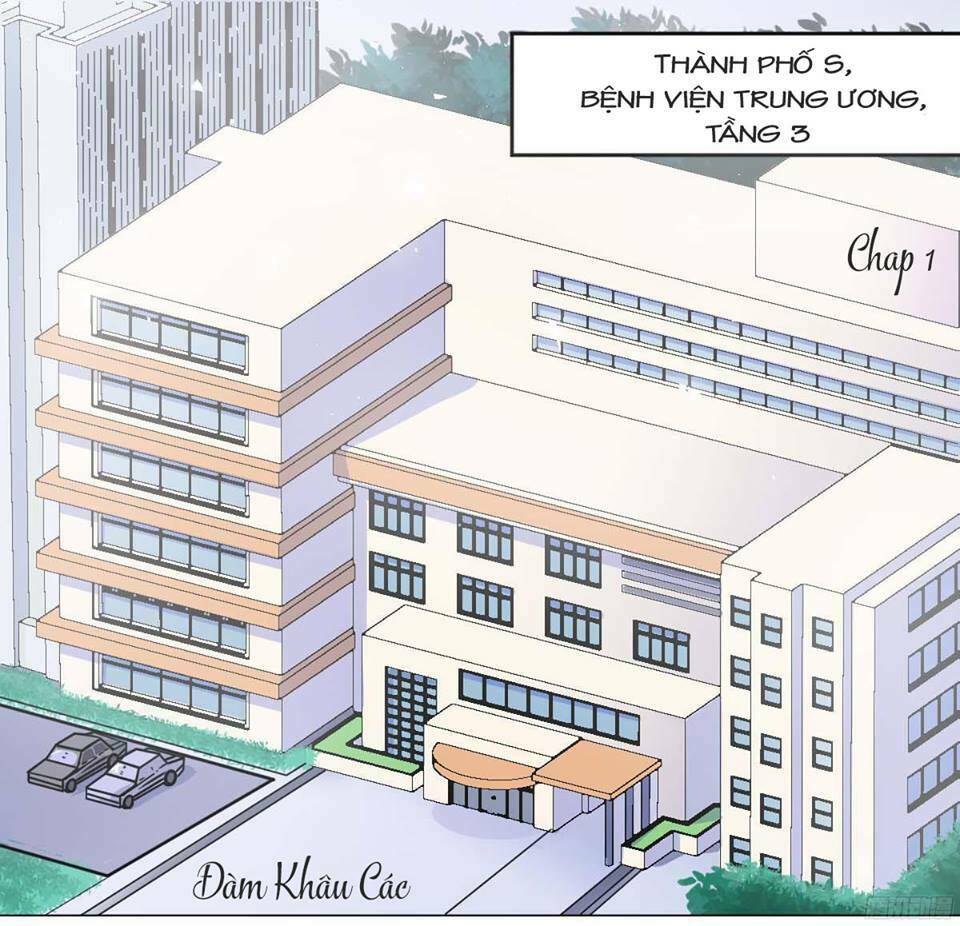 Tân Nương Xinh Đẹp Của Tổng Tài: Chapter 1.1