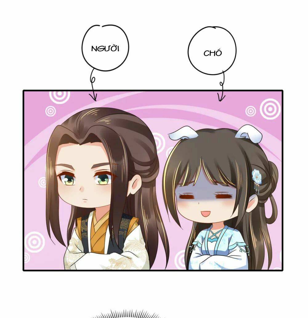 Lãnh Cung Phế Hậu Muốn Nghịch Thiên: Chapter 147