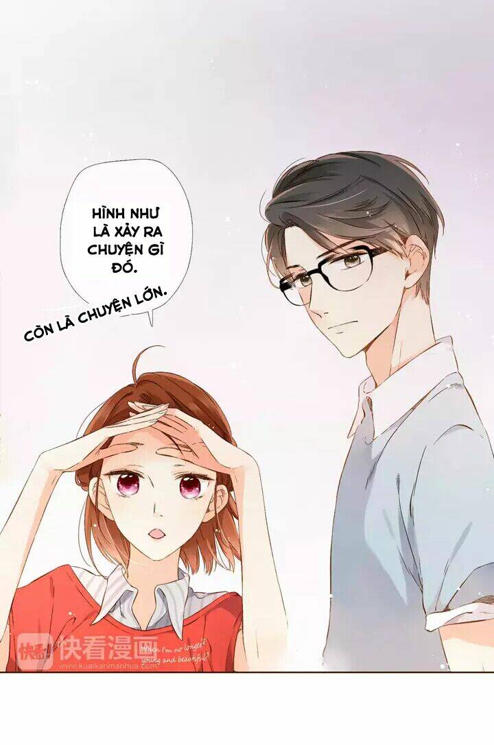 Tình Yêu Là Màu Hoa Anh Thảo: Chapter 29.1