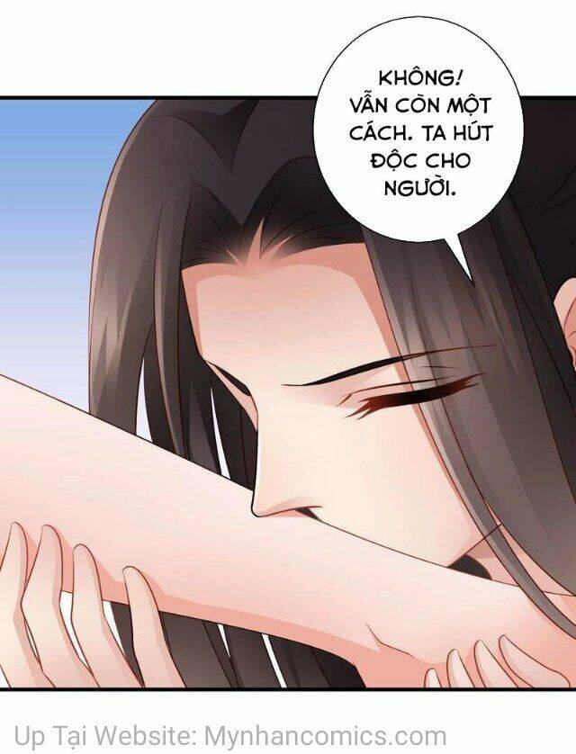 Thái Tử Điện Hạ Có Tin Vui: Chapter 93