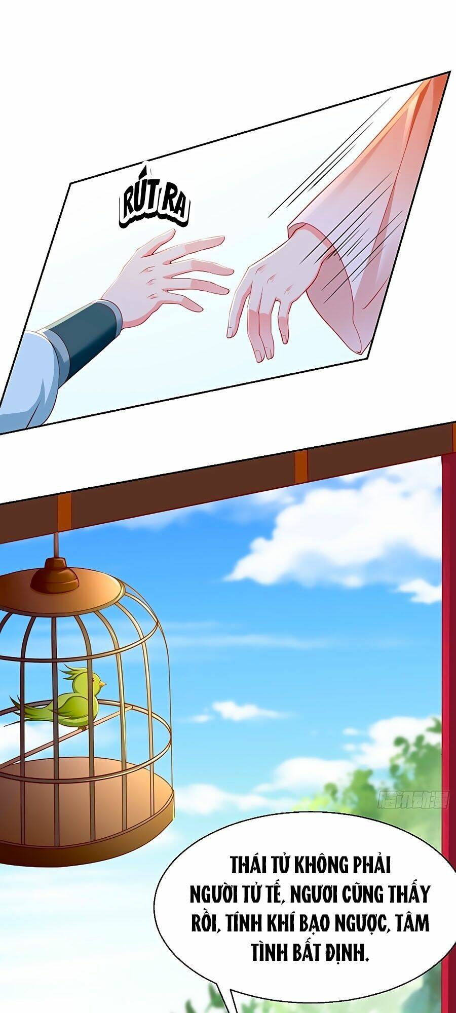 Vương Phi Là Đoá Bạch Liên Hoa: Chapter 11