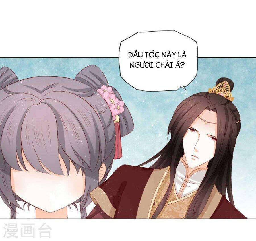 Nam Phi Nữ Tướng: Chapter 25