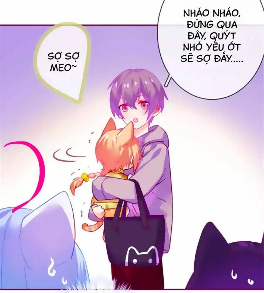 Đừng Nghịch, Ta Chỉ Muốn Yên Tĩnh: Chapter 61