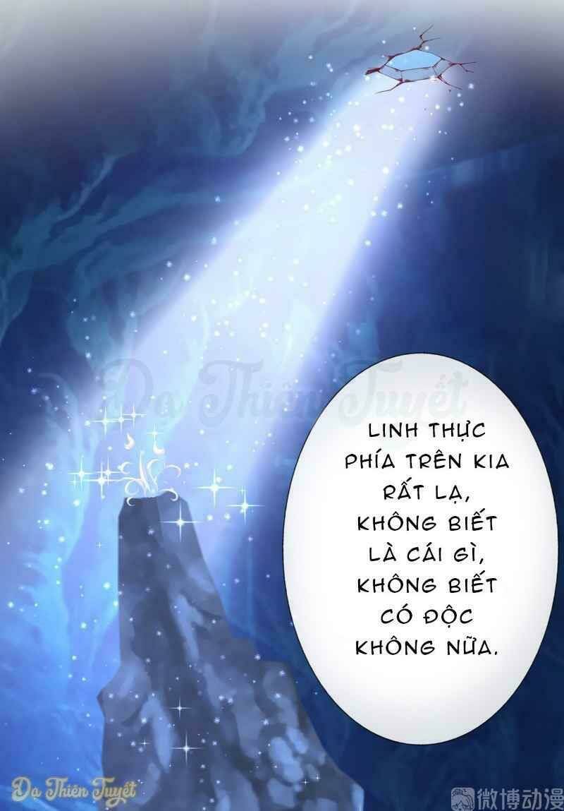 Nhân Vật Phản Diện Biến Thành Sủng Vật: Chapter 8