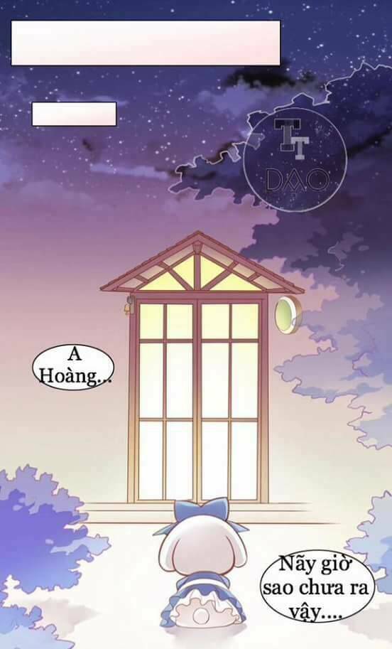 Dưới Móng Vuốt Mèo: Chapter 8