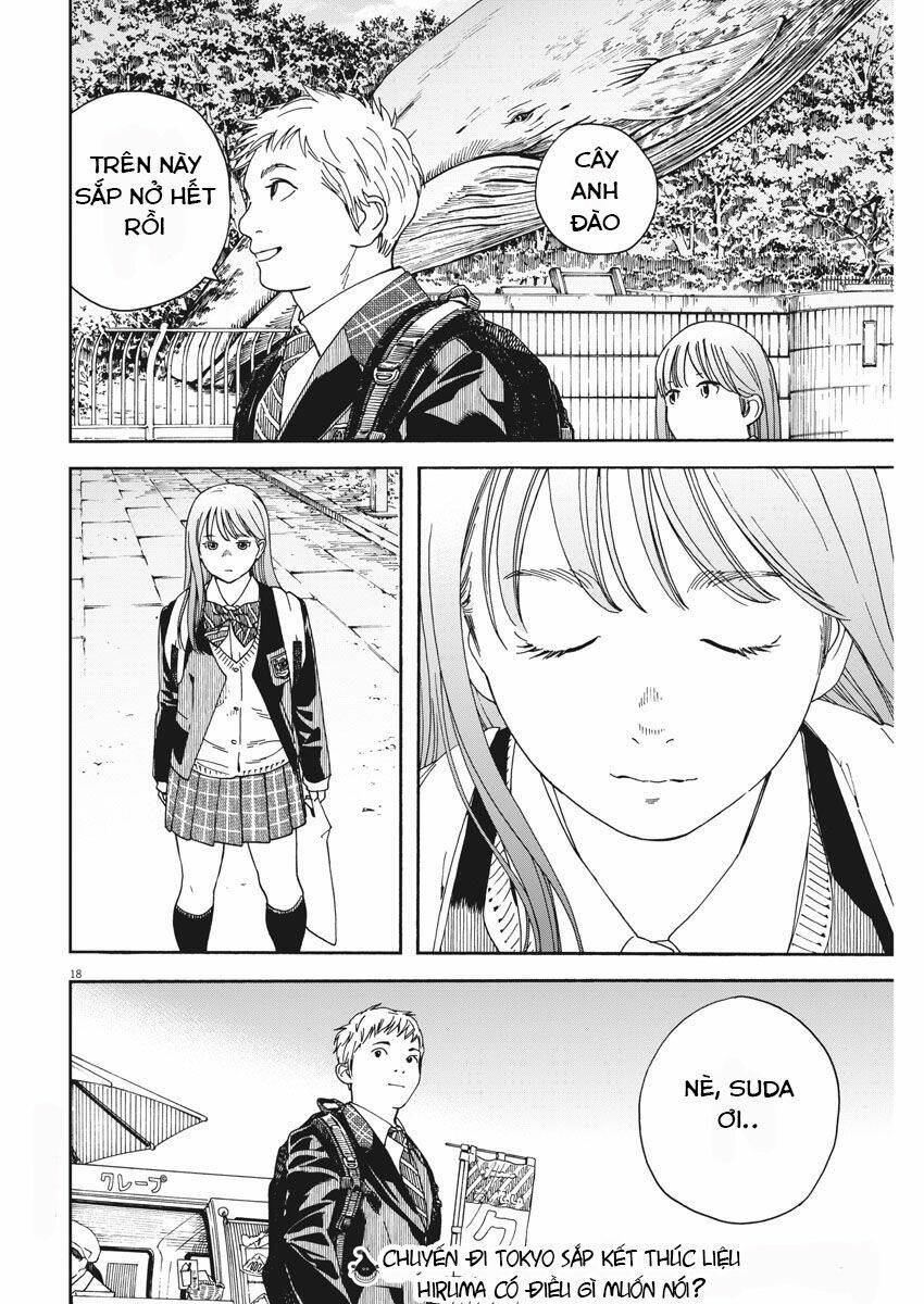 Neko No Otera No Chion-San: Chapter 72