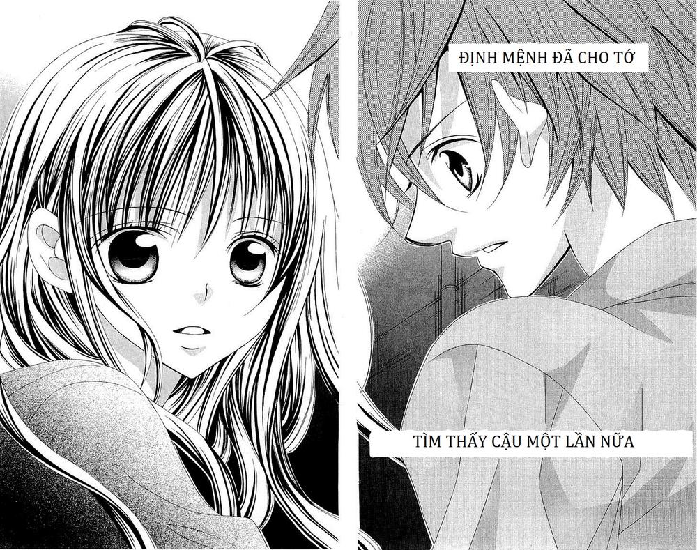 Mình Thích Cậu Đó, Suzuki: Chapter 36